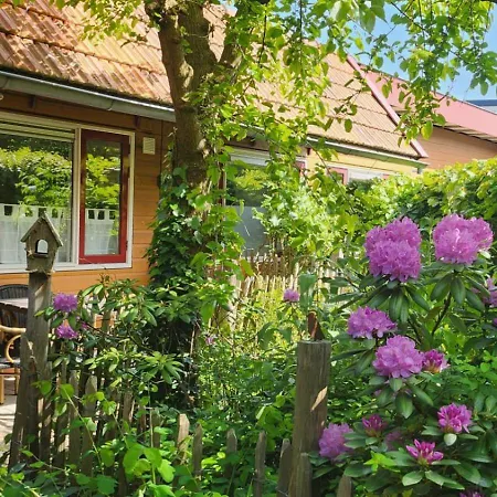 't Zwanennest Apartment *